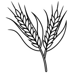 Elegant Barley Grain Vector Art