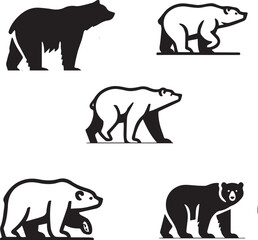 Bear vector in black and white