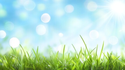 Obraz premium Springtime Grass with Blue Sky Background