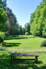 Fototapeta premium Serene Park Bench Summer Day Lush Green Grass Tranquil Nature Scene Peaceful Garden Escape