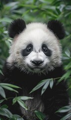 Obraz premium Cute panda animal background with view of the wild forest and tree Generate AI