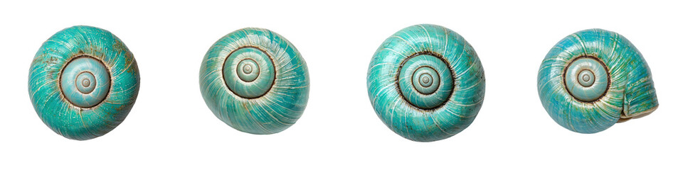Obraz premium Minimalist abstract photography of a spiral turquoise seashell against a plain background The geometric spiral pattern and vibrant aqua tones create a beautiful natural and decorative design