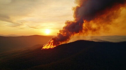 Fototapeta premium bushfire, disaster, forest, smoke