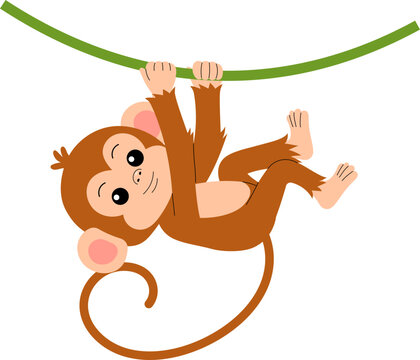 playful little monkey holding on a vine illustration