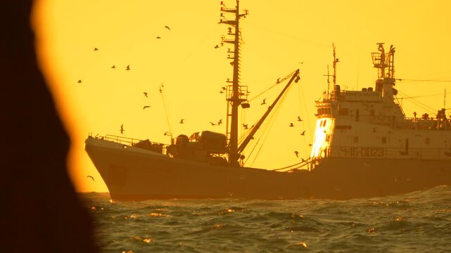 Fishing Vessel Sunset Ocean: Commercial fishing trawler at sea during golden hour, attracting seabirds.