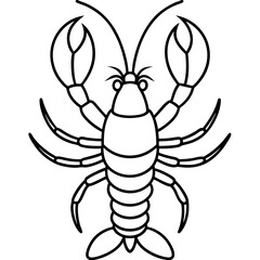 Lobster Sketch Artwork