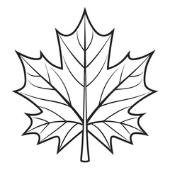 Maple leaf silhouette vector illustration