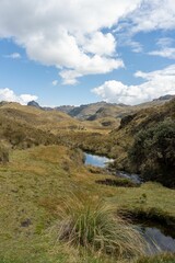 Mountainous Landscape with Stream