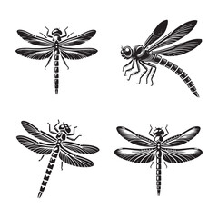 High-Quality Monochrome Vector Silhouettes of the Skimmer Dragonfly Isolated on a White Background