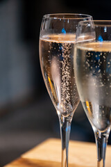 Tasting sparkling white wine, traditional champagne method making of cremant in caves on Moselle river valley in Luxembourg, wine tour and visiting caves