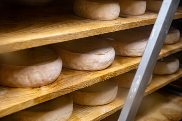 Farmer shop in Biarritz, France, Basque Country and Pyrenees sheep, cow and goat cheeses for sale,...