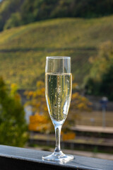 Tasting sparkling white wine, traditional champagne method making of cremant in caves on Moselle river valley in Luxembourg, glasses of wine and view on terraced vineyards