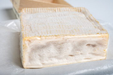 French squared pont l'eveque cow cheese from Calvados department, Normandy, France