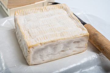French squared pont l'eveque cow cheese from Calvados department, Normandy, France