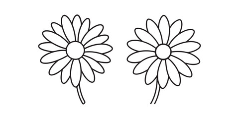 daisy flower line art, black outline, vector and illustration, line art and outline