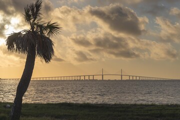 This stunning photograph captures the Sunshine Skyway Bridge from Fort DeSoto Park at sunrise, where the first light of day casts a warm glow across the tranquil waters. The soft light the golden hr