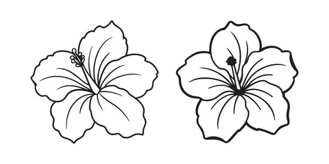hibiscus flower line art, black outline, vector and illustration, line art and outline © 69creativedesigner