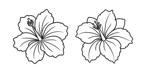 hibiscus flower line art, black outline, vector and illustration, line art and outline