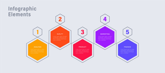 Infographic Design Template with 5 steps or options.