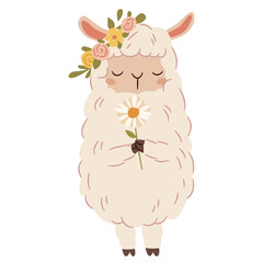 Cute llama holding daisy, on his head wreath of flowers. Flat vector illustration in simple style. Vector illustration