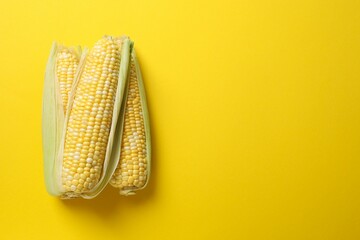 Fresh corn on cobs on color background, top view