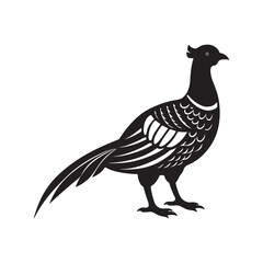 pheasant silhouette, black and white silhouette, vector and illustration