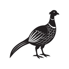 pheasant silhouette, black and white silhouette, vector and illustration