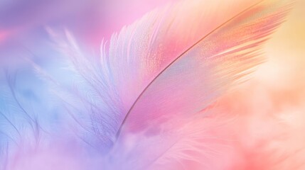 Iridescent feather in detailed macro view