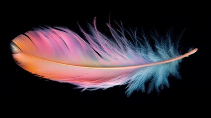 Obraz premium Iridescent feather in detailed macro view