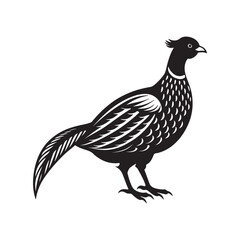 pheasant silhouette, black and white silhouette, vector and illustration