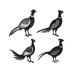 set of pheasant silhouette, black and white silhouette, vector and illustration