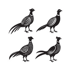 set of pheasant silhouette, black and white silhouette, vector and illustration