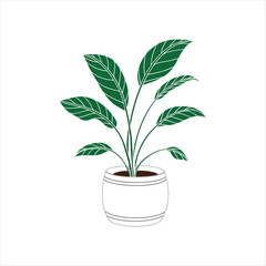 House Plant vector art design