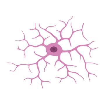 microglia resting colored icon