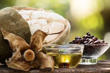Fototapete Baobab Dried baobab fruit ,seeds and oil on natural background.  © wasanajai