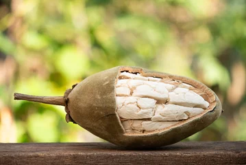 Fototapete Rund Dried baobab fruit on natural background. © wasanajai