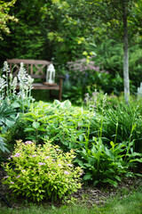 summer country ornamental garden view with relax place and wooden bench on background