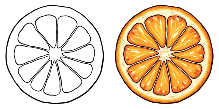 Orange Line Art Vector Illustration Black and White with Coloring Sample. Bold and Easy Food, Fruits, Sweets, Drinks, Dessert, and Snacks Coloring Pages for Adults and Kids