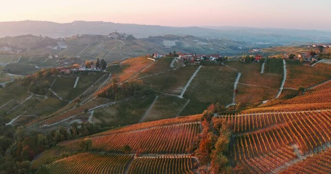 Aerial view of the hills with vineyards in autumn, Le Langhe wine region, Piedmont, Italy