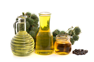 Castor fruits ,dried seeds and oil isolated on white background.