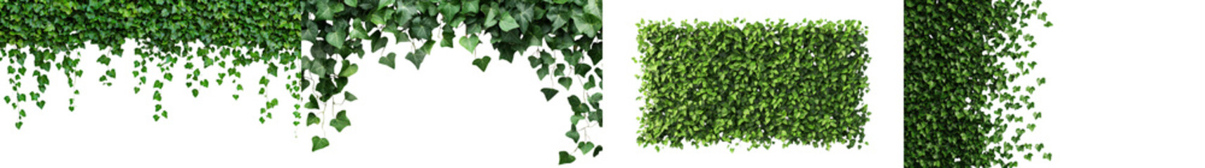 Obraz premium Lush Green Foliage Background with Nature Inspired Design