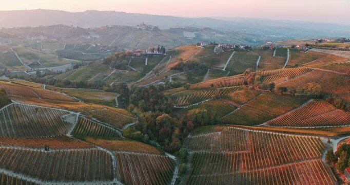 Aerial view of the hills with vineyards in autumn, Le Langhe wine region, Piedmont, Italy