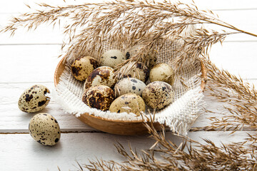 Pile of Quail eggs in natural color wood bowl indoors on white wooden board background. Dry reed plant branches for decoration. Side view, lot of copy space. Healthy food concept.