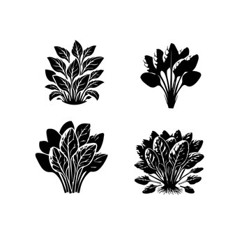 silloutttu of clean SPANISH 14JAN