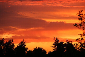 Sky with red sunset and silhouettes of trees