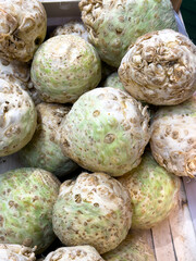 Celery is a popular vegetable, grown for its tubers and leaves. Celery leaf has a diuretic effect,...