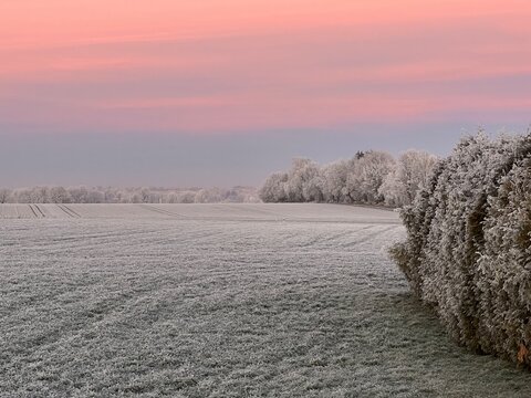 Winter, Landschaft, Farben, Winterwunderland, Himmel, Morgens, Kalt, Pink