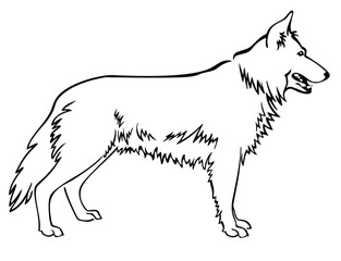 Shepherd Dog Full Body Standing Side View Isolated Vector Line Art