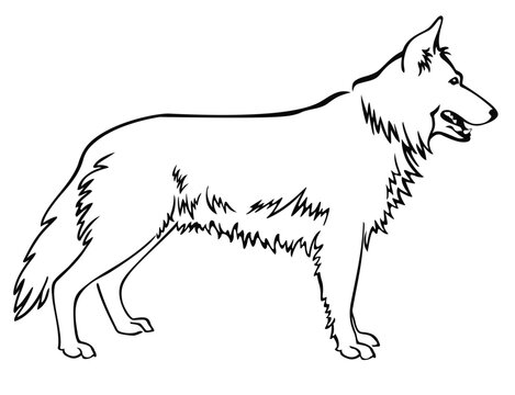 recommend clip art: Shepherd Dog Full Body Standing Side View Isolated Vector Line Art