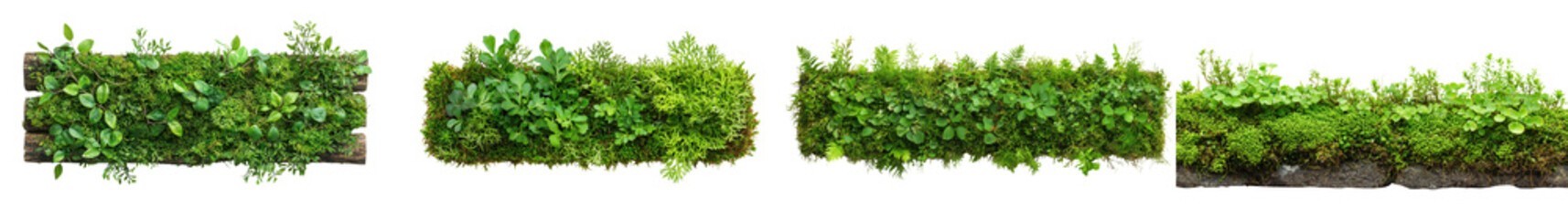 Obraz premium Lush Green Vertical Garden Wall for Biophilic Design and Sustainable Living